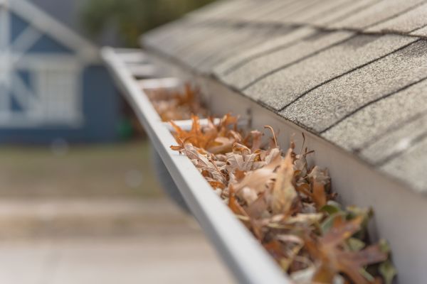 Leaf Barrier Installation in Saint Johns