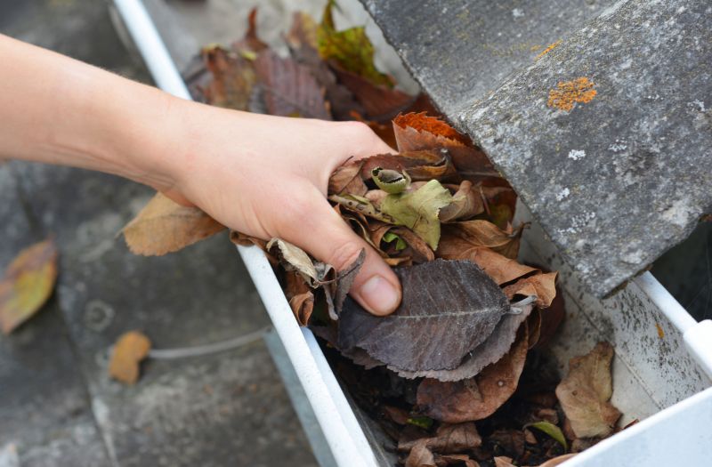 Clean and Clear Gutters